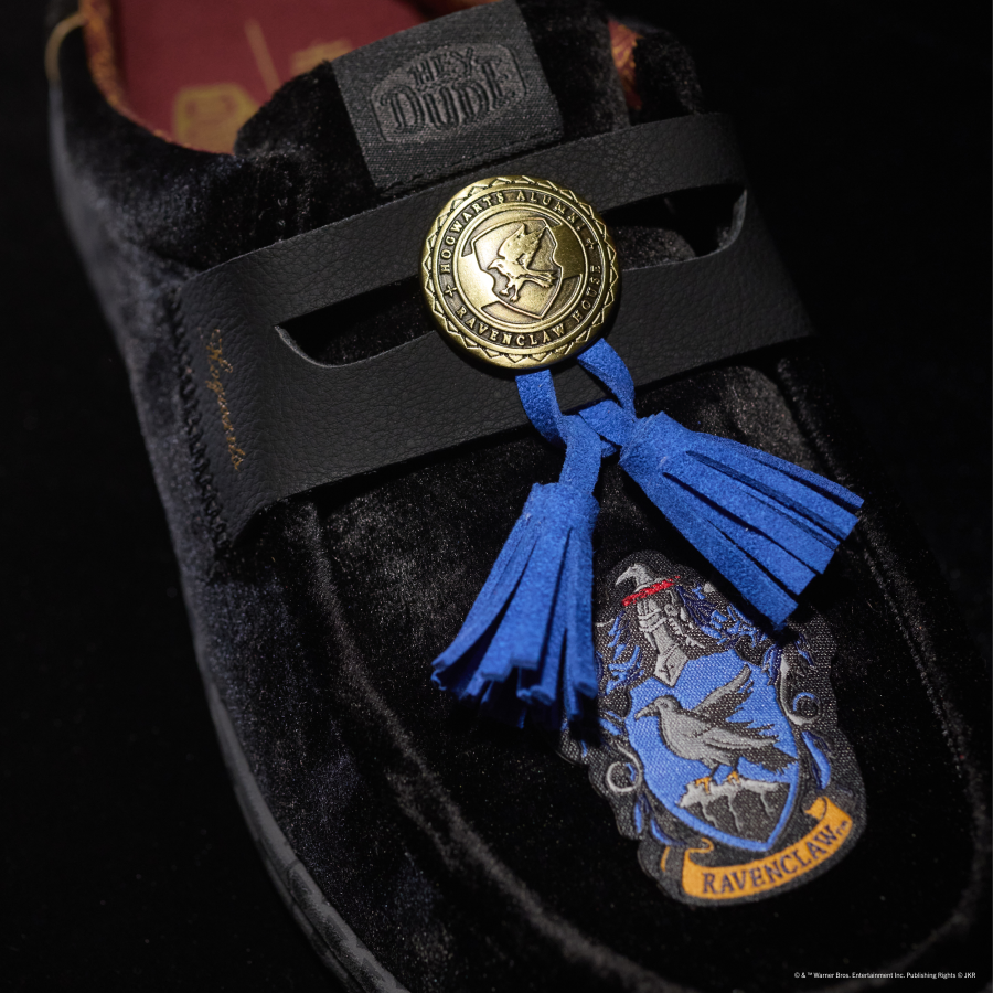 Ravenclaw Accessory Pack ÿ Multi - Image 2